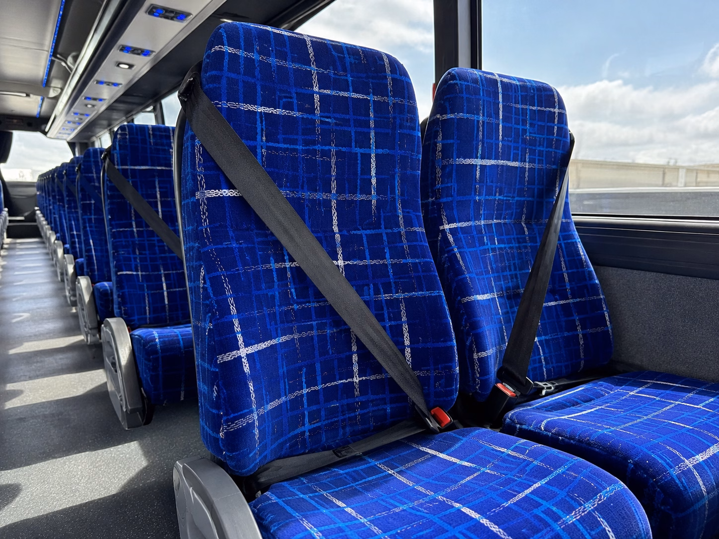 compare concert transportation options across the rio grande valley